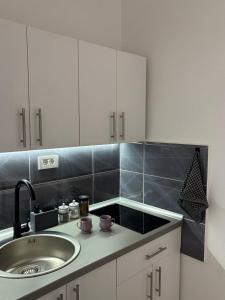 Kuchyň nebo kuchyňský kout v ubytování Apartman LILLY