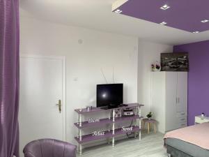TV a/nebo společenská místnost v ubytování Apartman LILLY