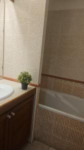 une salle de bain avec un lavabo, une baignoire et une douche dans l'établissement LE BERYL - Proche CHU et Saint-Denis centre, à Saint-Denis