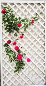 Mynd úr myndasafni af Home stay ideal for bikes and walking the camino í Zizur Mayor