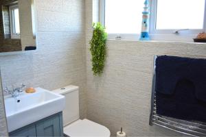 a bathroom with a white toilet and a sink at Carreg Coetan Cottage Newport, Pembrokeshire in Newport Pembrokeshire +13 photos