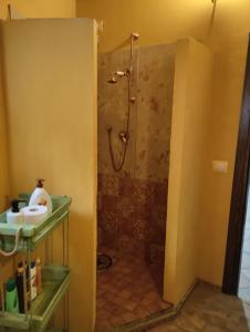 Bilik mandi di B&B Il Sentiero nel Bosco
