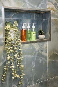 una mensola con quattro bottiglie di sapone e una pianta di cinquepuntozero a Roma