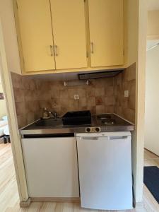 Dapur atau dapur kecil di StudiosMichel apt 16 balcon thermes 400m à pied
