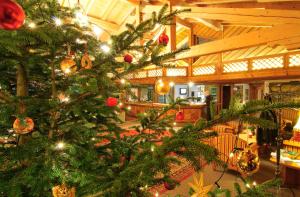 Restaurace v ubytování Steinbach-Hotel