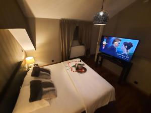 a bedroom with a bed and a flat screen tv at Clos des Thermes-Zanzibar in Liège