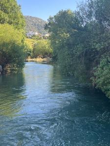 a river with trees on the side of it at Casa Rural las Rosas de Benaojan in Benaoján
