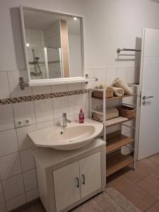 Ένα μπάνιο στο Ferienwohnung am Blumenberg +7 φωτογραφίες
