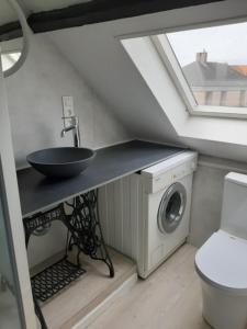 a bathroom with a sink and a washing machine at Holidayhouse Balie in Bruges