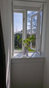 Vrt ispred objekta Hesede Hovedgård