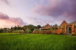 Zahrada ubytování Naya Ubud