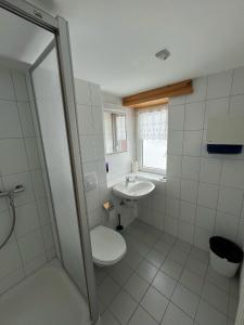a bathroom with a toilet and a sink at Hospezi Santa Maria in Platta