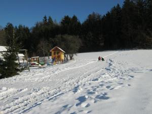 Eine Person, die im Schnee läuft, mit einem Haus im Hintergrund in der Unterkunft Ferienhof Jägersteig in Waldmünchen