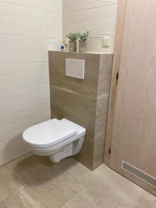 a bathroom with a toilet with a plant on a shelf at FeWo Marielle in Seeboden +55 photos
