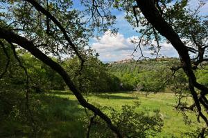 Foto dalla galleria di La Grande Via, ospitalità in Maremma a Montemerano