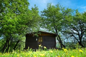 Foto dalla galleria di La Grande Via, ospitalità in Maremma a Montemerano