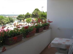 Balkón alebo terasa v ubytovaní Apartment IDA