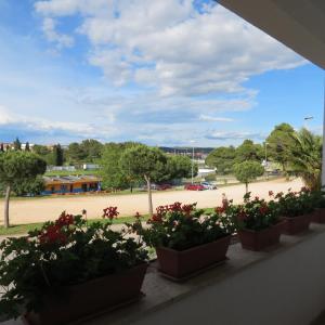 Vonkajšia záhrada v ubytovaní Apartment IDA