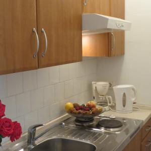 Kuchyňa alebo kuchynka v ubytovaní Apartment IDA