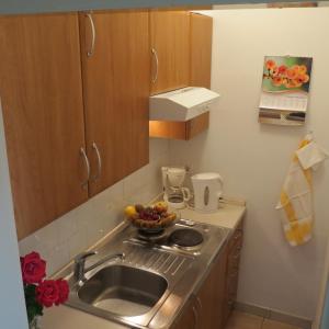 Kuchyňa alebo kuchynka v ubytovaní Apartment IDA