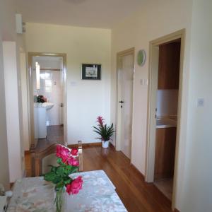 Fotografia z galérie ubytovania Apartment IDA v Rovinj