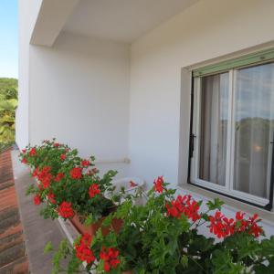 Vonkajšia záhrada v ubytovaní Apartment IDA