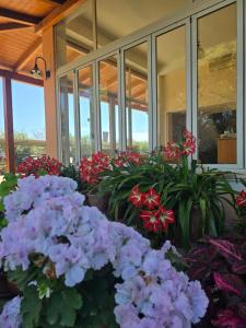 Zahrada ubytování Hotel Ristorante La Decanata