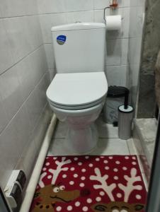 a bathroom with a toilet and a red rug at Balti house in Bălţi +12 photos