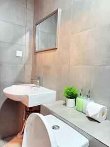 a bathroom with a sink and a toilet and a mirror at K avenue family room by TZ homestay in Donggongon