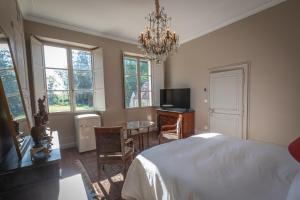 Le Château du Sollier - Charme calme et confort climatisation à 5mn du peage的电视和/或娱乐中心