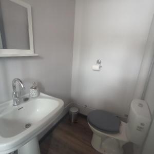 a white bathroom with a toilet and a sink at Chalet Lestraouen in Plougastel-Daoulas +18 photos