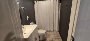 a bathroom with a white toilet and a sink at Golden A Frame- 3 bedroom with hot tub and community amenities in Swanton +21 photos