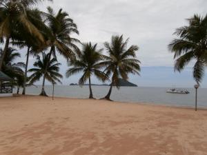 una playa con palmeras y un barco en el agua en Langkah Syabas Beach Resort, en Kinarut