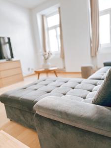 Televízia a/alebo spoločenská miestnosť v ubytovaní Zentrales Apartment nähe Schönbrunn - 5 Pers