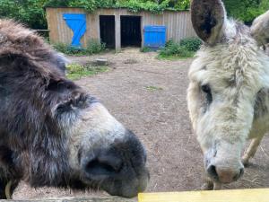 Imagen de la galería de Kergarec gite H, en Clohars-Fouesnant