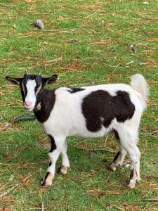 Imagen de la galería de Kergarec gite H, en Clohars-Fouesnant 2 fotos más