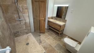 a bathroom with a shower and a toilet and a sink at La Cheneraie in Artignosc-sur-Verdon +26 photos