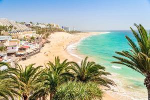 a view of a beach with palm trees and the ocean at Occidental Jandía Mar in Morro del Jable