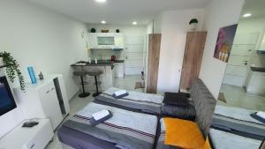 a bedroom with two beds and a sink in it at Harmony Srebrno jezero in Veliko Gradište