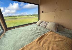 a bed in a room with a large window at Camping Hofstede Zonnevliet - Tiny house in Zonnemaire