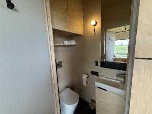 a small bathroom with a sink and a mirror at Camping Hofstede Zonnevliet - Tiny house in Zonnemaire