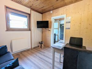 Televízia a/alebo spoločenská miestnosť v ubytovaní Charmant appartement à Gérardmer