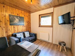 Televízia a/alebo spoločenská miestnosť v ubytovaní Charmant appartement à Gérardmer