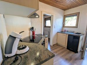 Kuchyňa alebo kuchynka v ubytovaní Charmant appartement à Gérardmer