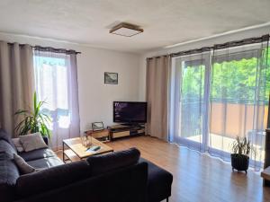 Μια τηλεόραση ή/και κέντρο ψυχαγωγίας στο Apartmán Senica