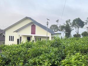 a white house behind a hedge of bushes at Beverly Hills Vagamon in Vagamon