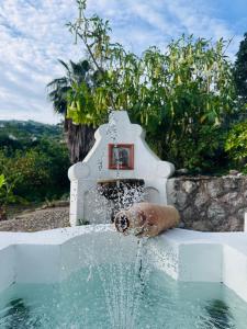 een persoon speelt in een fontein bij Villa Tiche in Cefalù +70 foto's