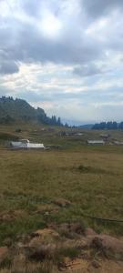 a field with a group of buildings in the distance at Etno katun Mokra 1 in Spaljevići +4 photos