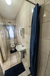 Un baño pequeño con inodoro y lavabo. en AHA Accommodation, en Piet Retief