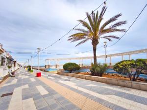a palm tree on a sidewalk next to the ocean at Apartamento con terraza en Playa Grau de Moncofa in Moncófar